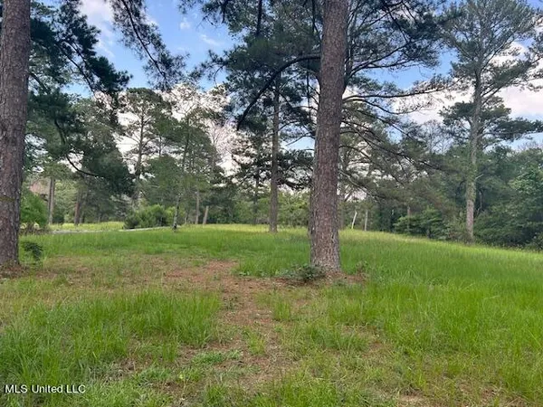 $810,250 | 229 12 Oaks Road, Canton, MS 39046