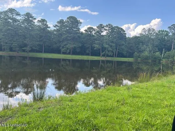 $810,250 | 229 12 Oaks Road, Canton, MS 39046