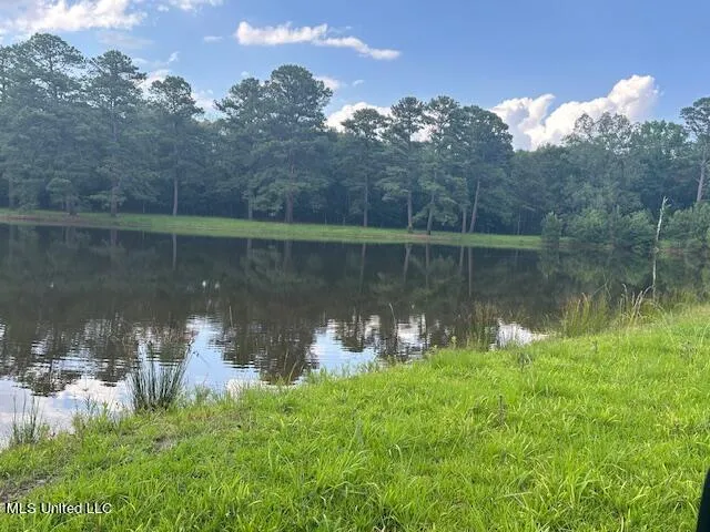 $810,250 | 229 12 Oaks Road, Canton, MS 39046