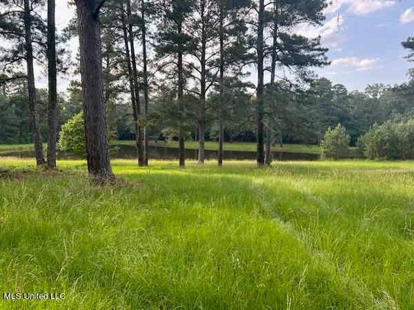 $810,250 | 229 12 Oaks Road, Canton, MS 39046