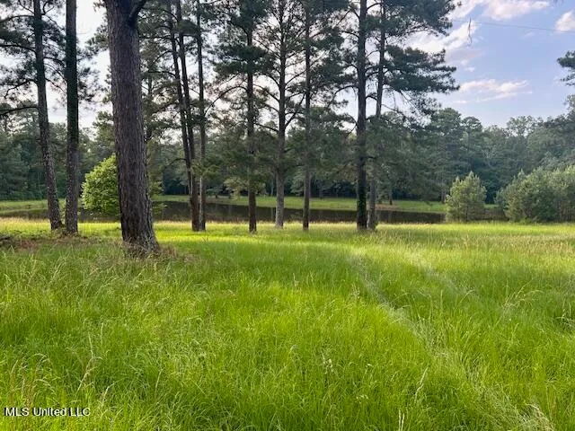 $810,250 | 229 12 Oaks Road, Canton, MS 39046