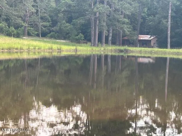 $810,250 | 229 12 Oaks Road, Canton, MS 39046