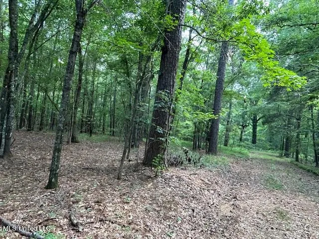 $810,250 | 229 12 Oaks Road, Canton, MS 39046