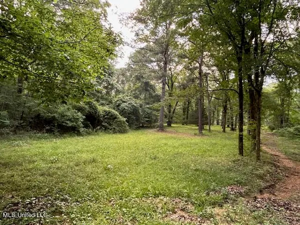 $810,250 | 229 12 Oaks Road, Canton, MS 39046