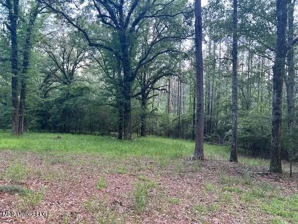 $810,250 | 229 12 Oaks Road, Canton, MS 39046