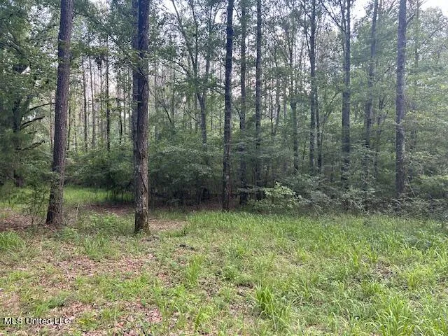 $810,250 | 229 12 Oaks Road, Canton, MS 39046