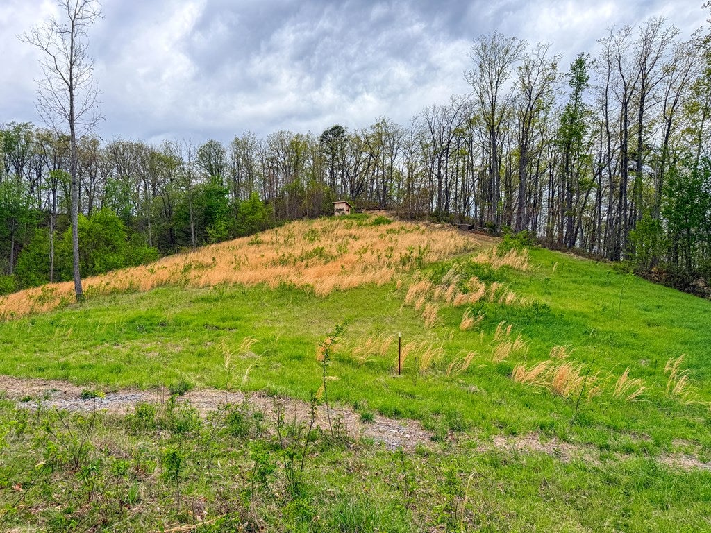 2789 Dry Fork Road, Unit 10 Bandy, VA 24602 - Photo 14 of 59 Gallery Image 14