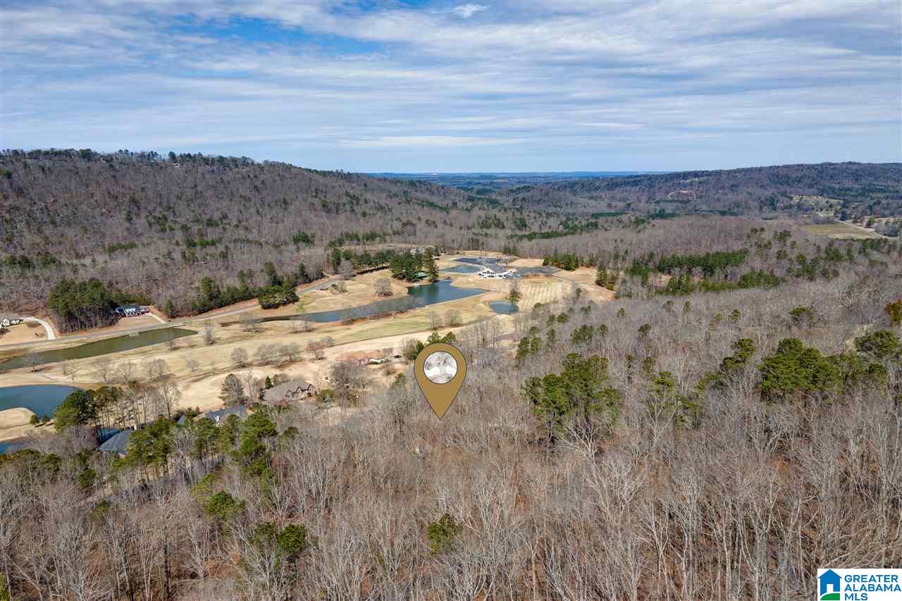 195 Heritage Road Oneonta, AL 35121 - Photo 48 of 50