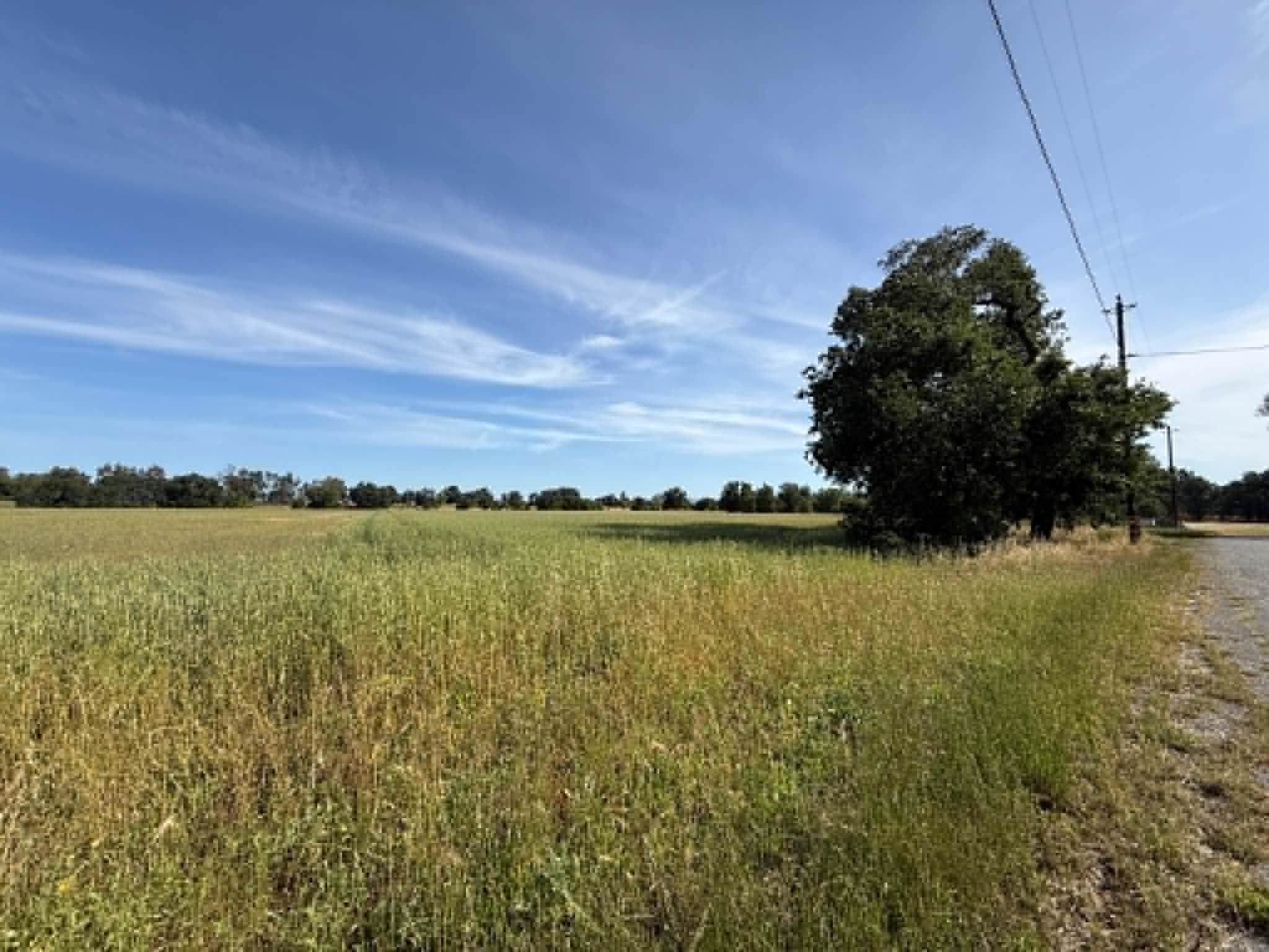 0 Hamilton Avenue Gerber, CA 96035 - Photo 1 of 6