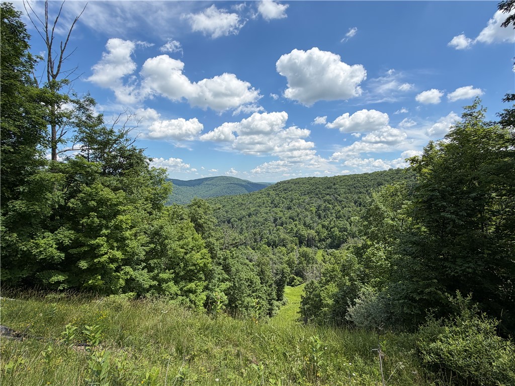 Vl Catatunk Road, Unit R Canisteo, NY 14823 - Photo 28 of 50