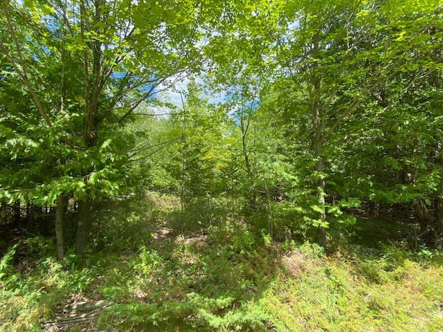 Lot 2 West Meadow Road Fish Creek, WI 54212 - Photo 4 of 40