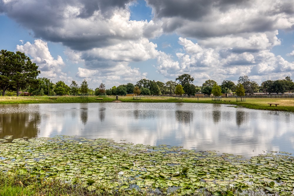 35418 Tompkins Road Hempstead, TX 77445 - Photo 41 of 50 a view of a lake