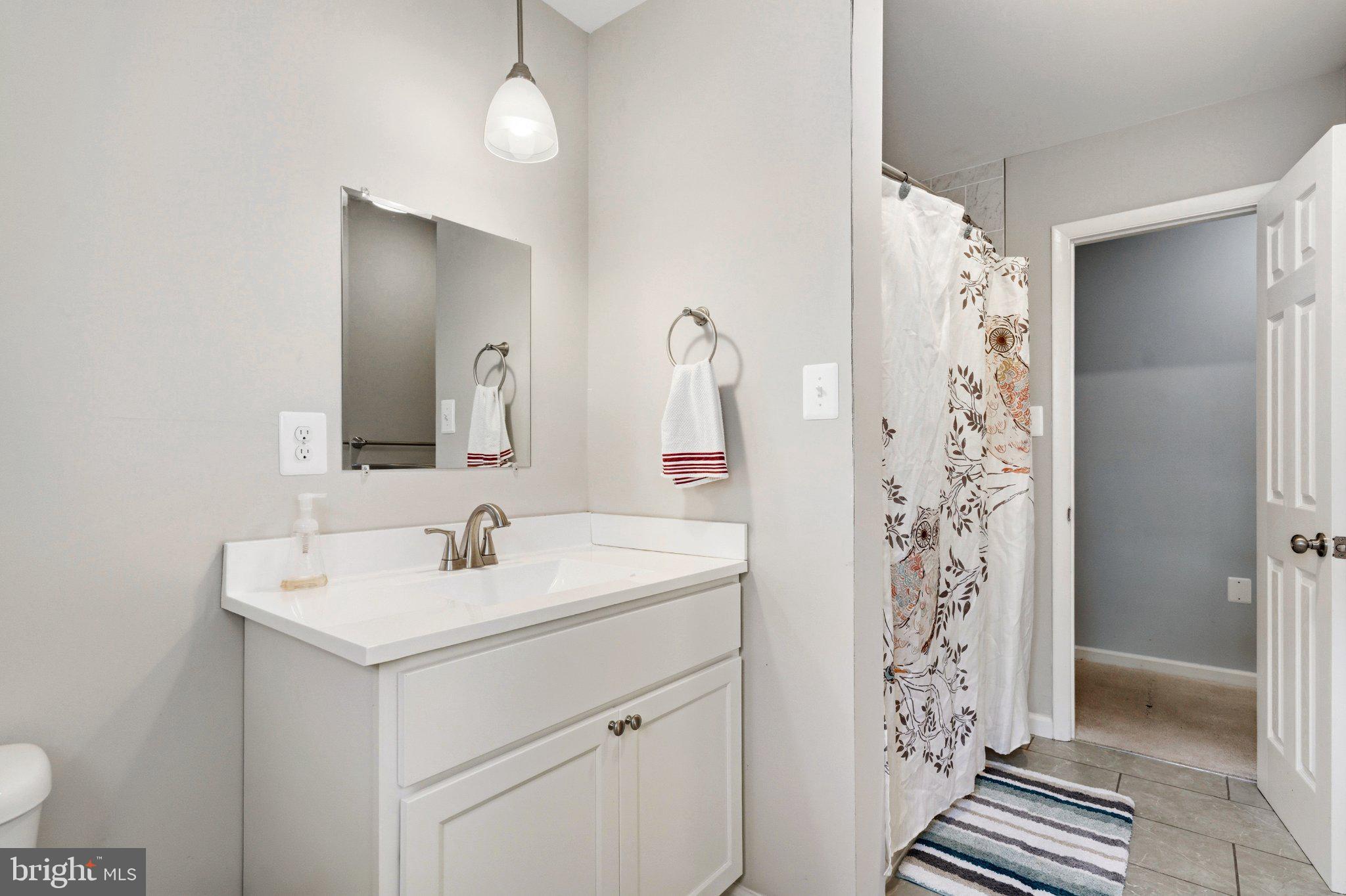 10560 South Faulkner Road Faulkner, MD 20632 - Photo 45 of 60 Modern bathroom with elegant finishes.