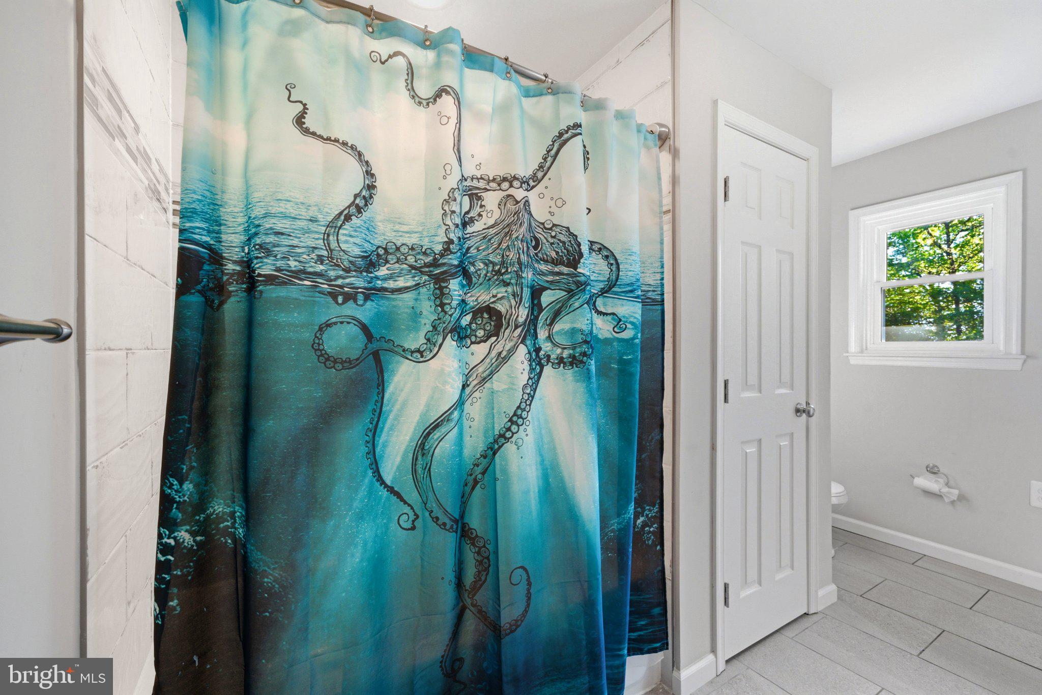10560 South Faulkner Road Faulkner, MD 20632 - Photo 55 of 60 Whimsical octopus shower curtain