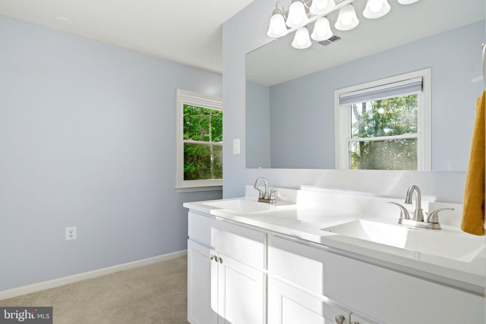 10560 South Faulkner Road Faulkner, MD 20632 - Photo 56 of 60 Bright and airy bathroom retreat.