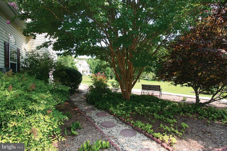 325 Wye Road Queenstown, MD 21658 - Photo 15 of 27 Landscaping
