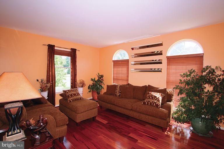 Living Room 2