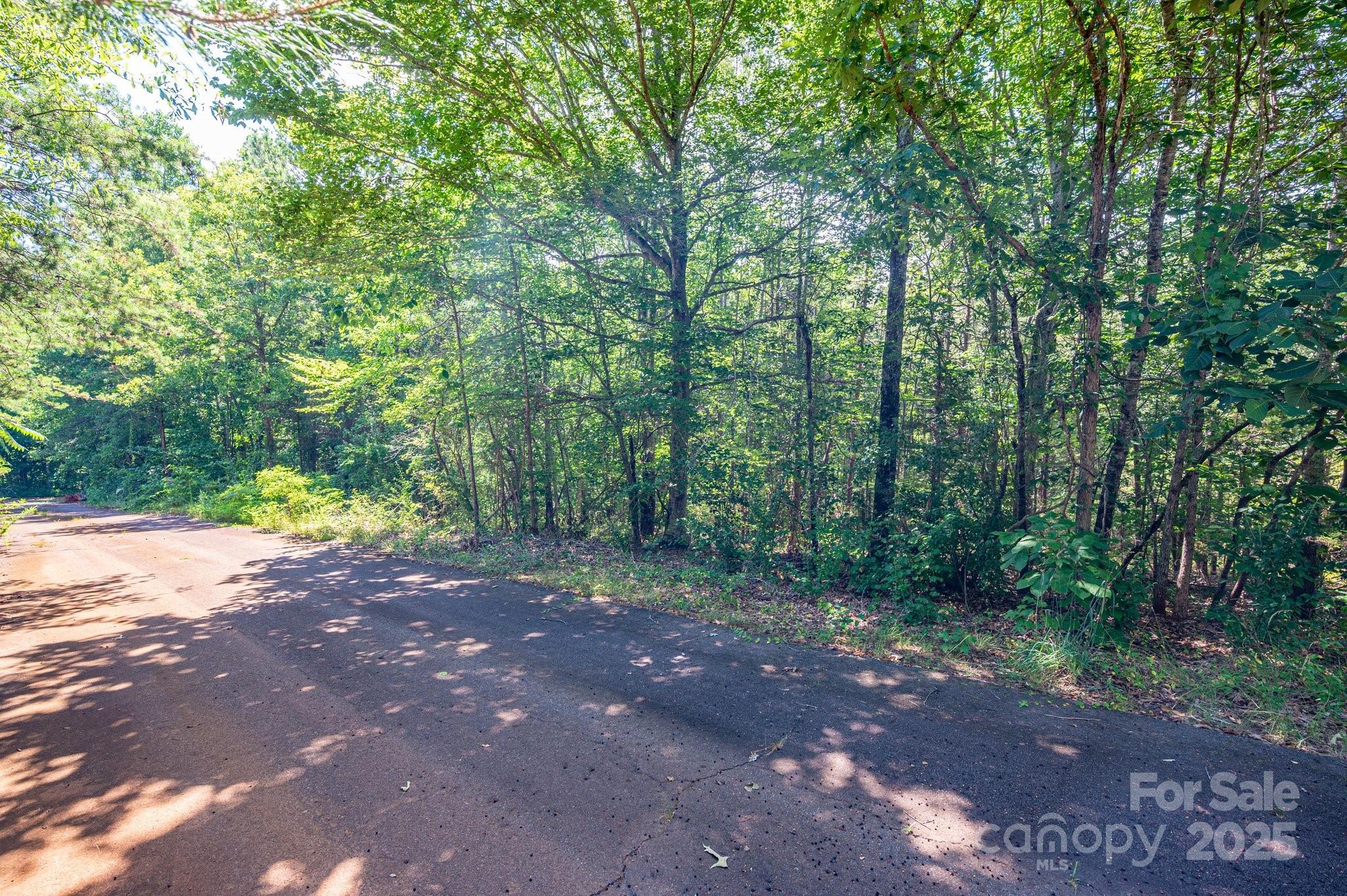 Lot # Meadow Crossing Drive Rutherfordton, NC 28139 - Photo 3 of 13 a view of a forest with trees