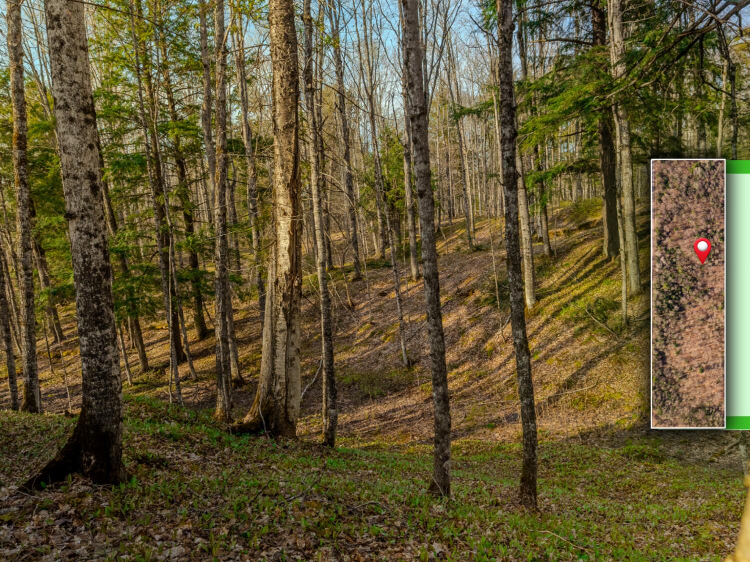 1 Horoscope Road Pelkie, MI 49958 - Photo 6 of 12 6