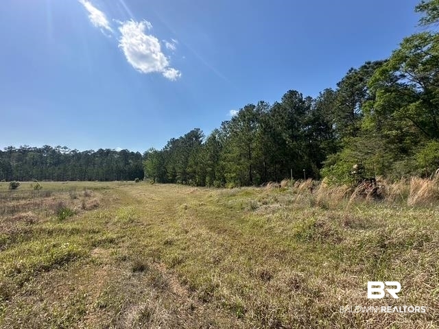 0 I-65 Service Road Satsuma, AL 36572 - Photo 4 of 27 View of nature with a forest view
