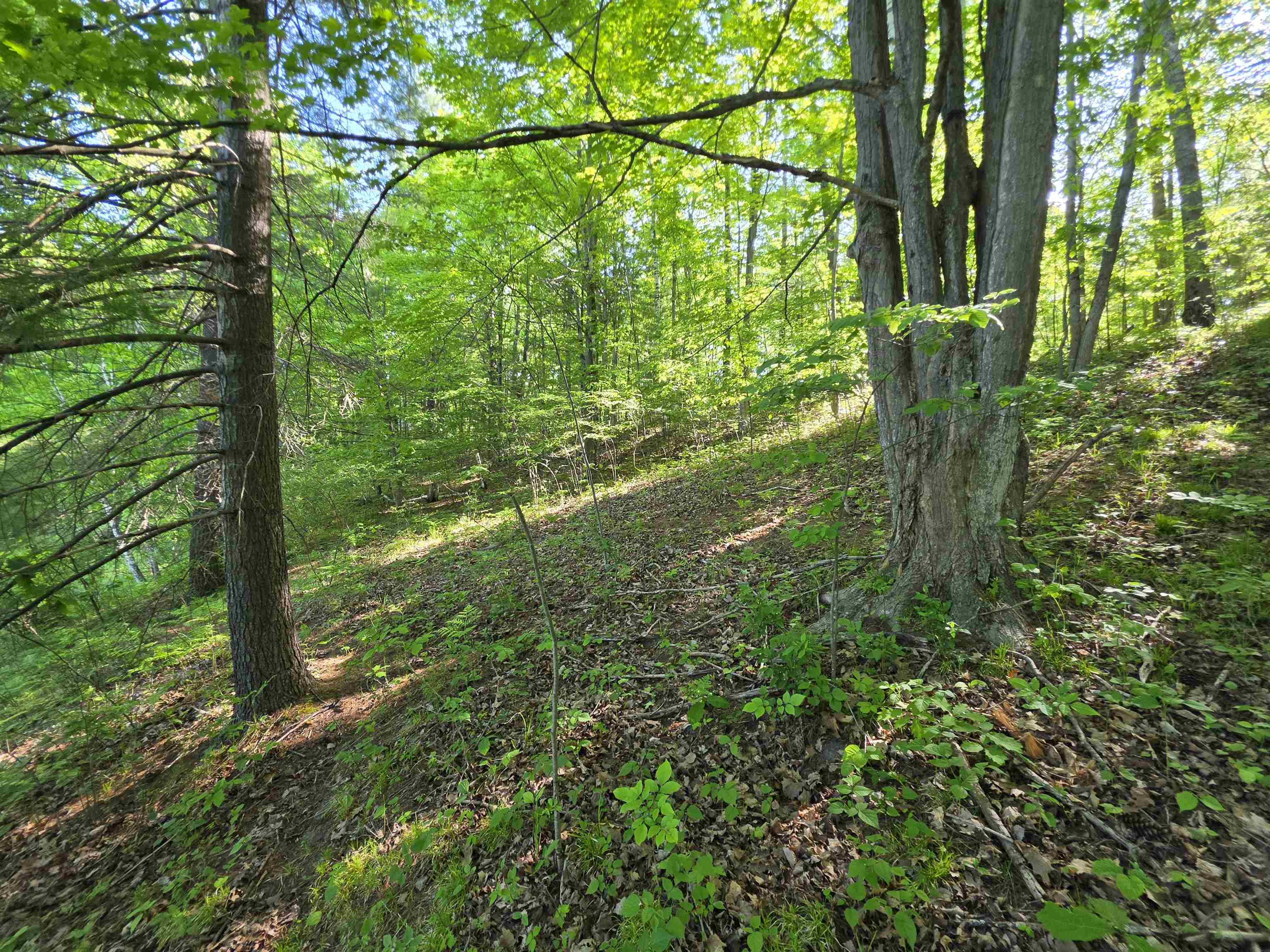 Tbd North Lakeshore Road Gladwin, MI 48624 - Photo 15 of 33