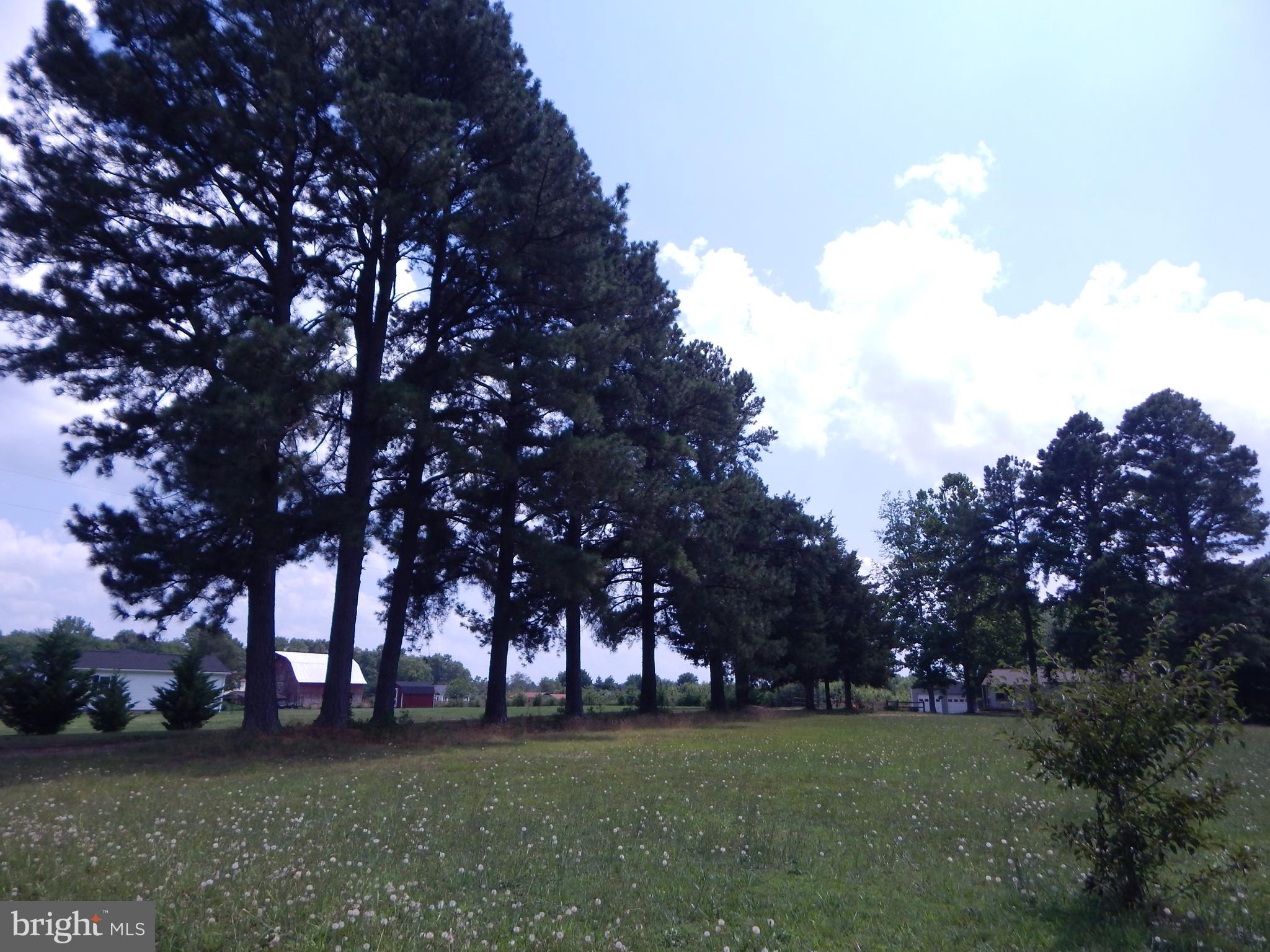 7718 Marye Road Partlow, VA 22534 - Photo 27 of 28 Gallery Image 27
