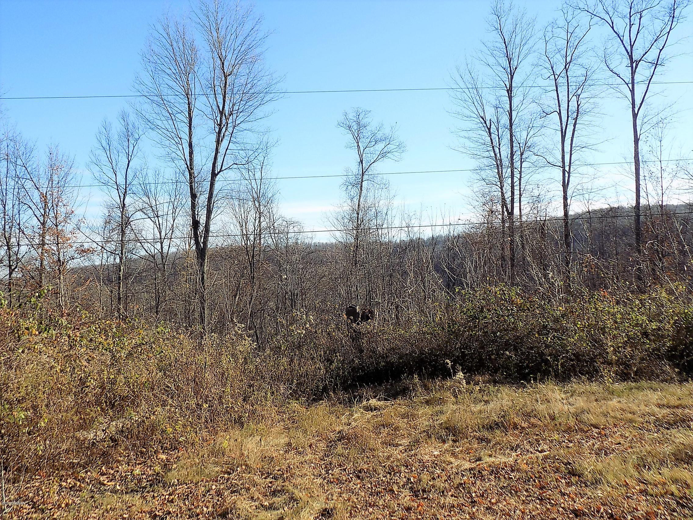 57-acres Sterling Road Newfoundland, PA 18445 - Photo 11 of 21