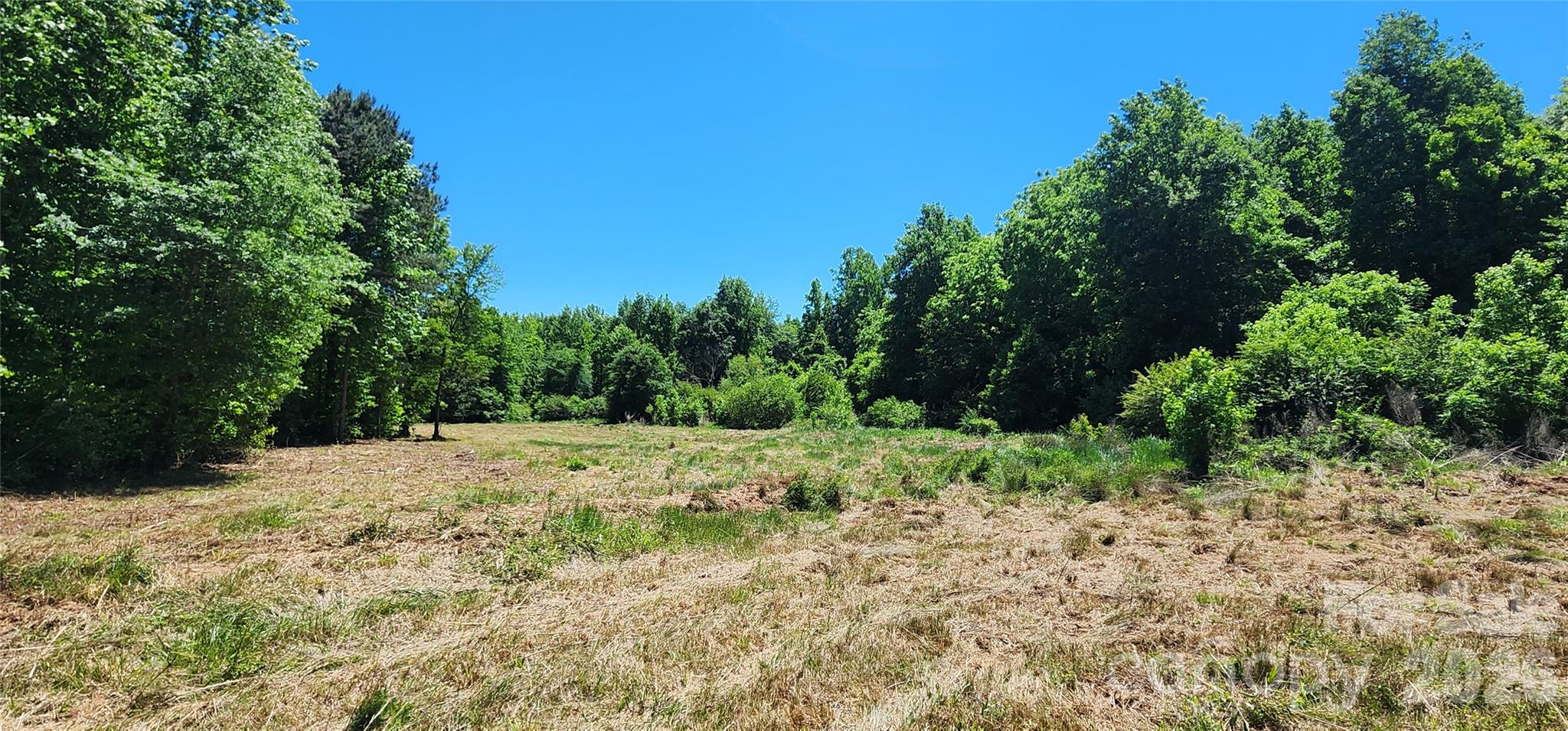 480 Brown Road Spartanburg, SC 29302 - Photo 20 of 47 a view of a yard with plants and trees