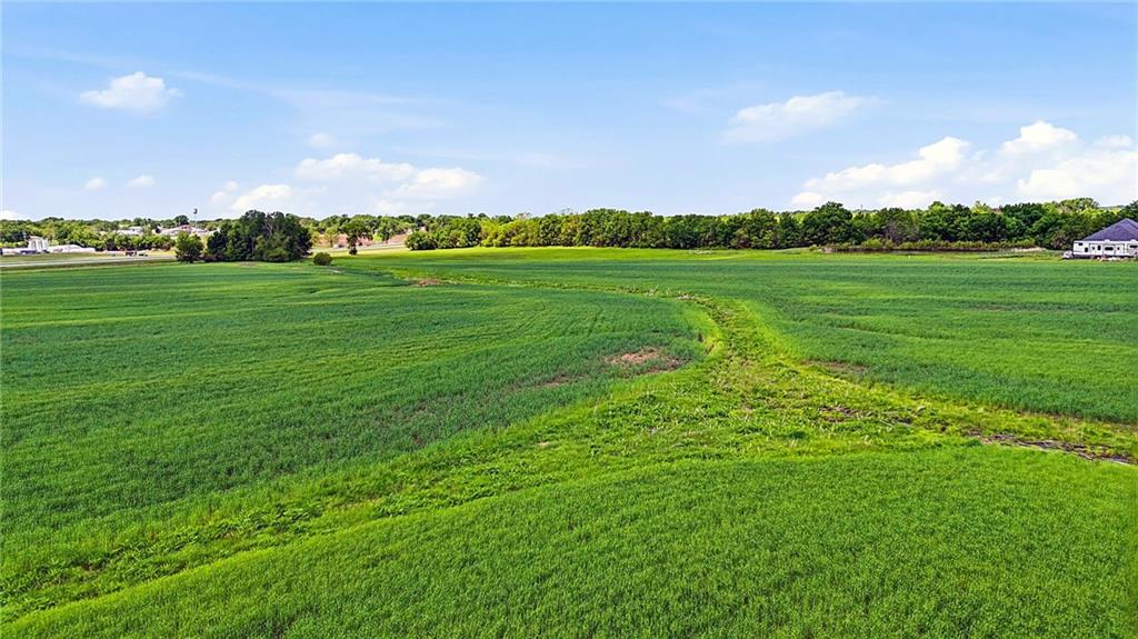 0 South Little Road Garden City, MO 64747 - Photo 6 of 33