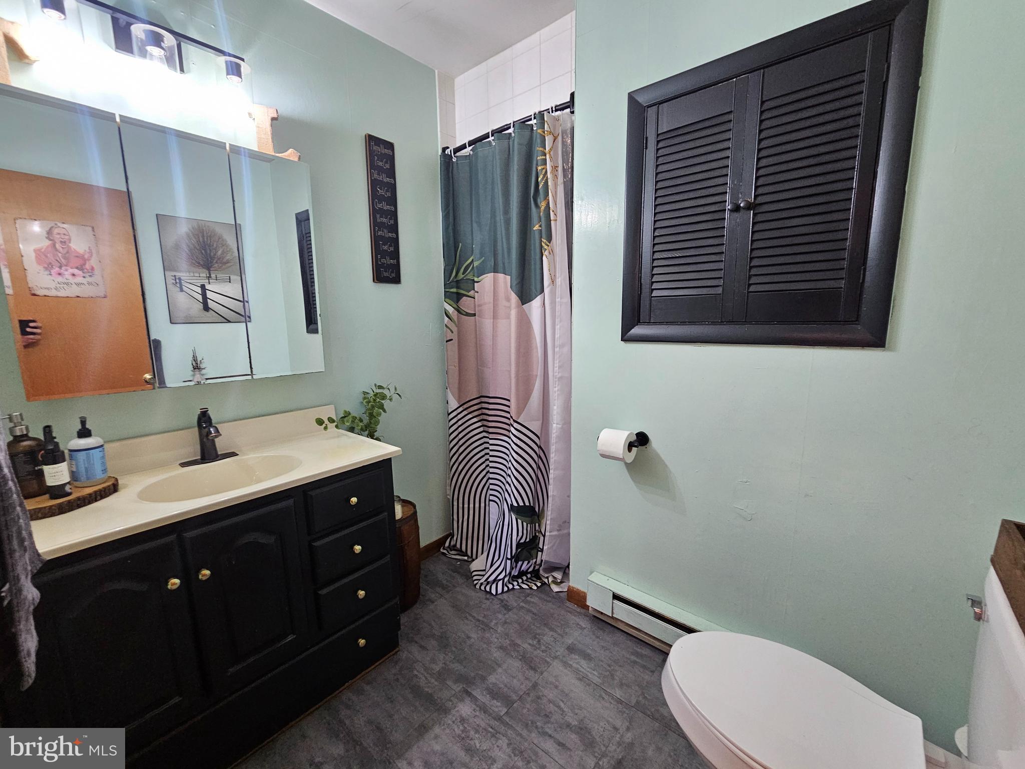 2733 Bachman Road Westminster, MD 21157 - Photo 14 of 43 a bathroom with a toilet a sink and mirror