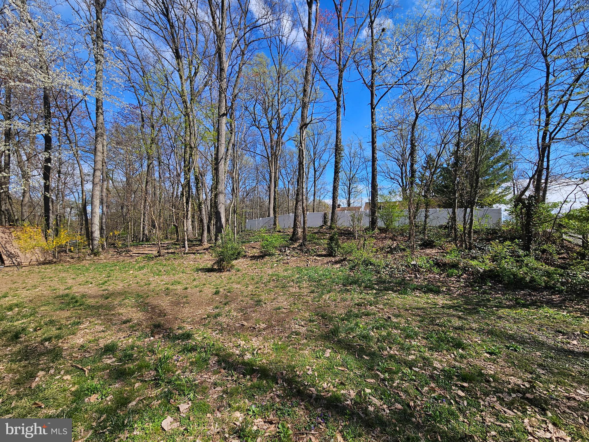2733 Bachman Road Westminster, MD 21157 - Photo 37 of 43 a view of outdoor space with trees