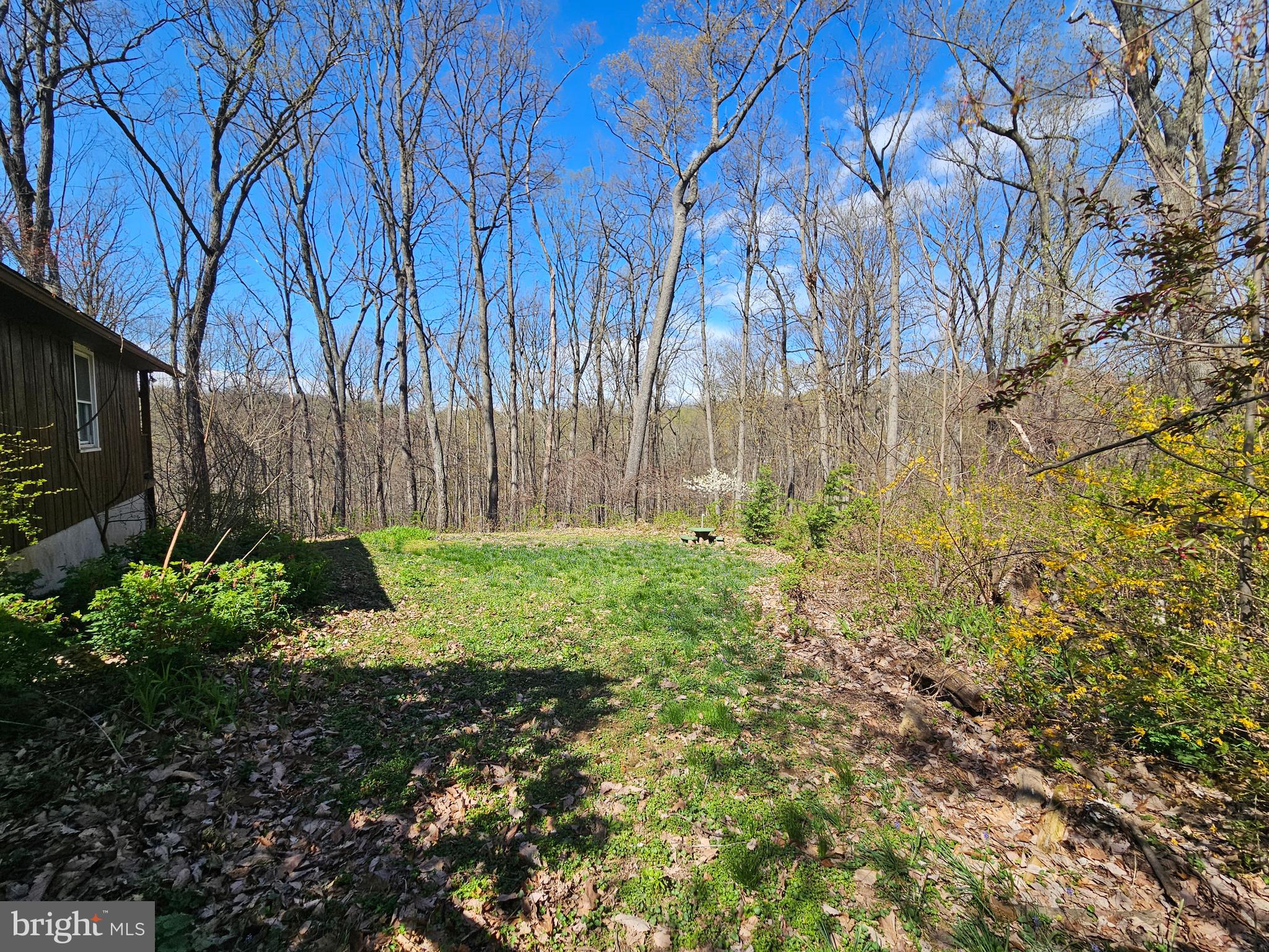 2733 Bachman Road Westminster, MD 21157 - Photo 41 of 43