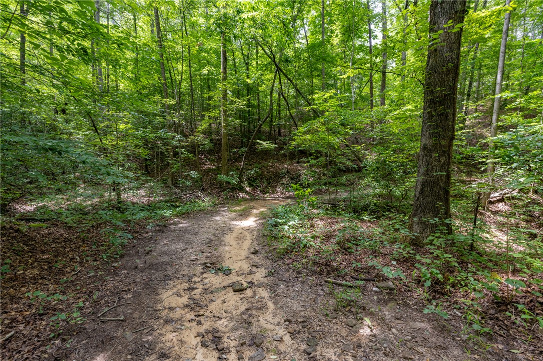 152 Big Ridge Road Westminster, SC 29693 - Photo 21 of 46