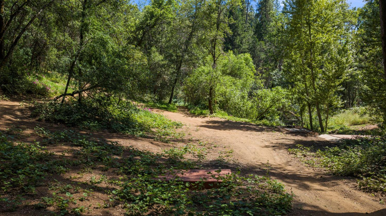 3560 Mining Brook Road Placerville, CA 95667 - Photo 72 of 80