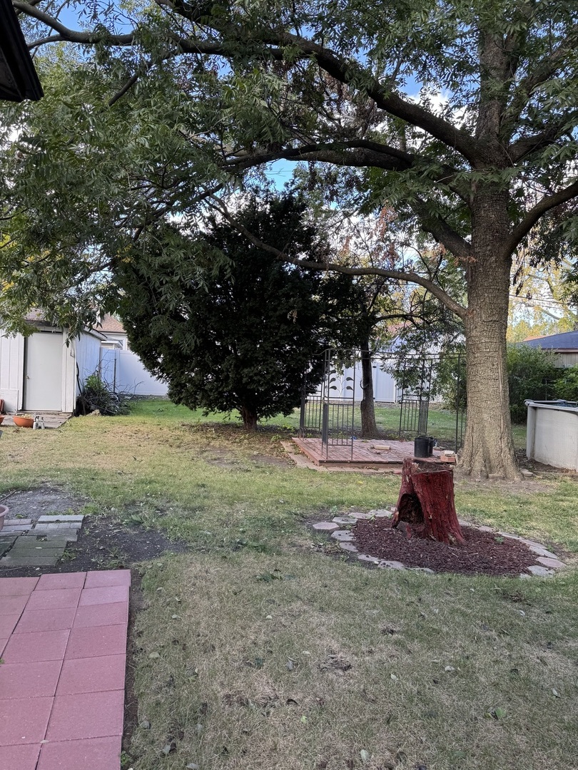 7142 South Damen Avenue Chicago, IL 60636 - Photo 17 of 20 a view of a yard with large tree