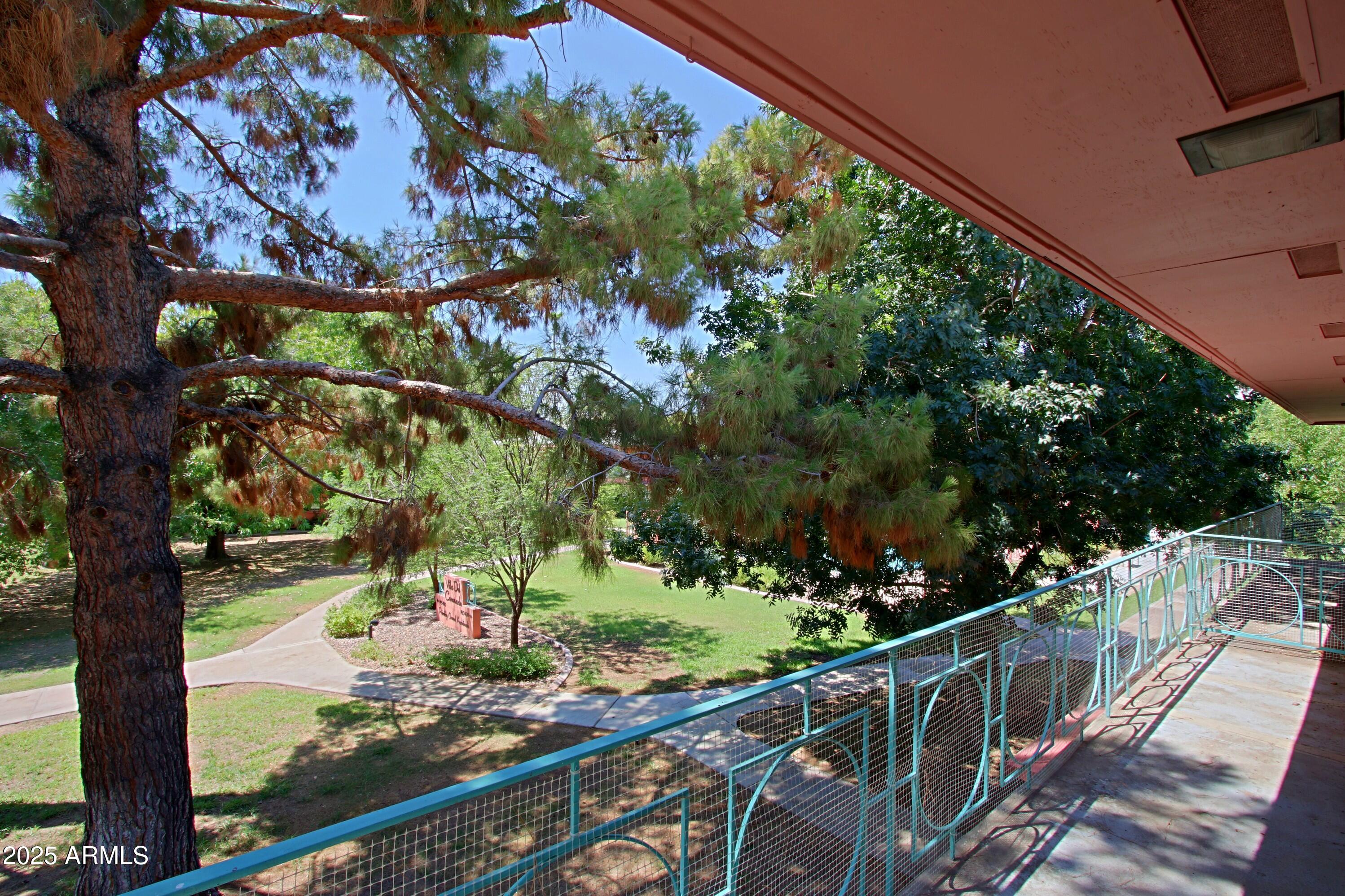 190 East Coronado Road, Unit 73 Phoenix, AZ 85004 - Photo 46 of 56 Gorgeous tree view