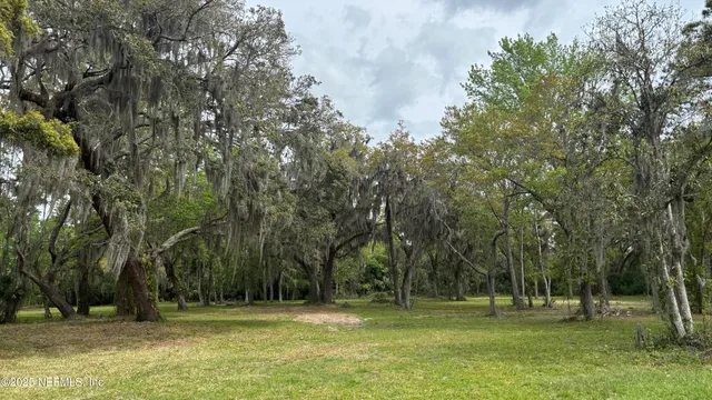 a backyard of a house with lots of trees