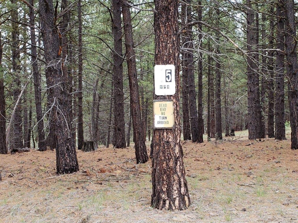 0 24 Bamford Road Bly, OR 97622 - Photo 18 of 19 Additional Photo