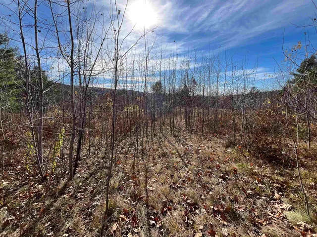 $150,000 | 0 Buck Ridge Road, Lisbon, NH 03585