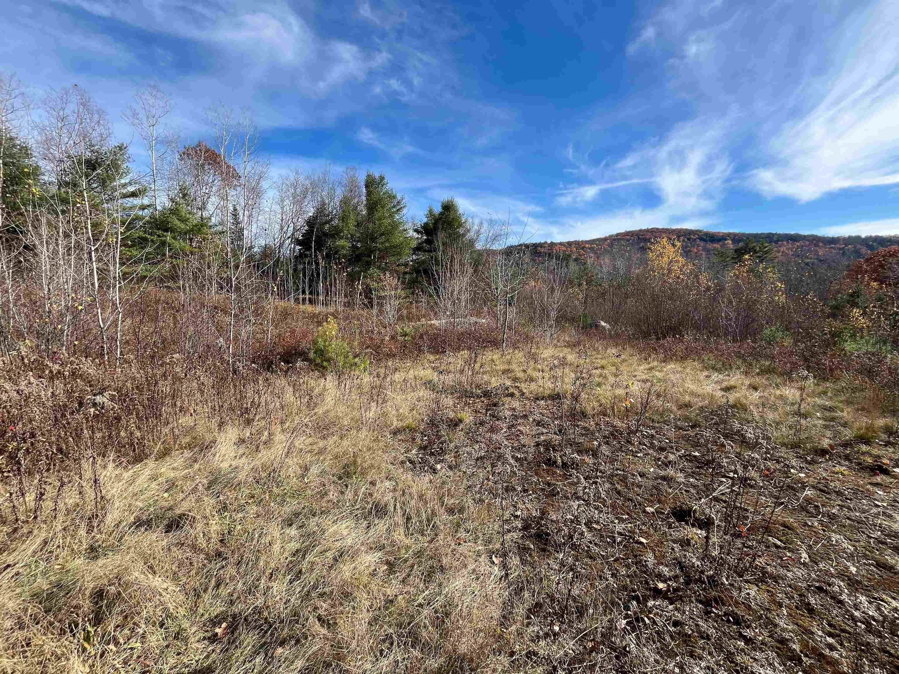 0 Buck Ridge Road Lisbon, NH 03585 - Photo 18 of 46