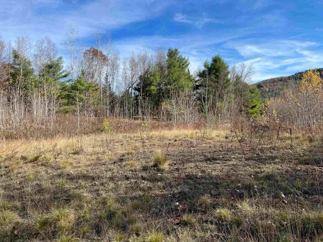 $150,000 | 0 Buck Ridge Road, Lisbon, NH 03585