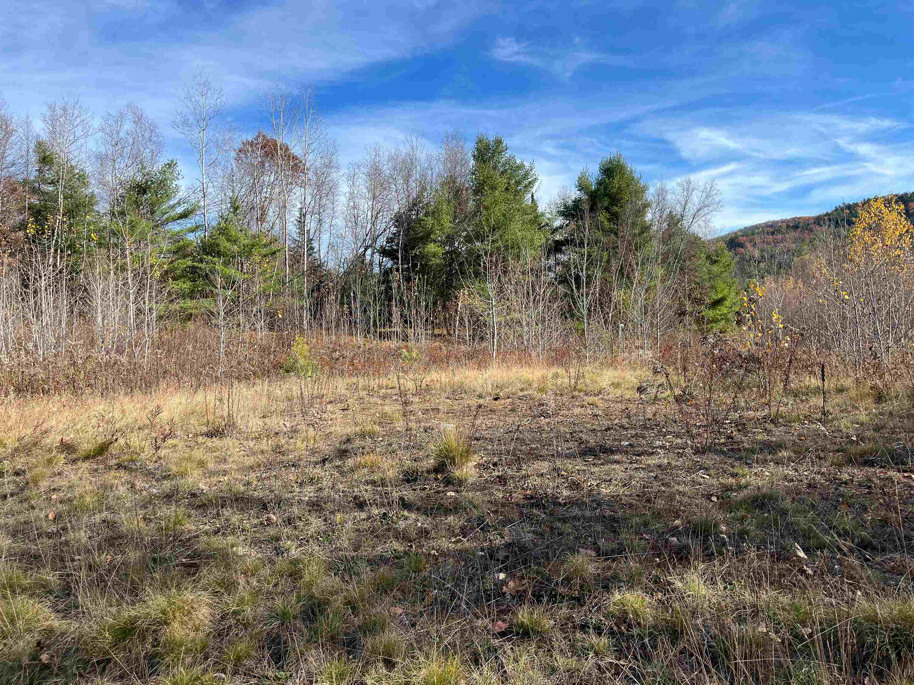 0 Buck Ridge Road Lisbon, NH 03585 - Photo 20 of 46