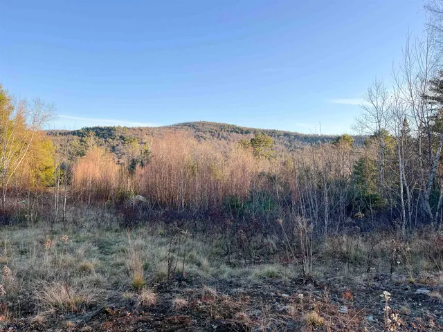 $150,000 | 0 Buck Ridge Road, Lisbon, NH 03585