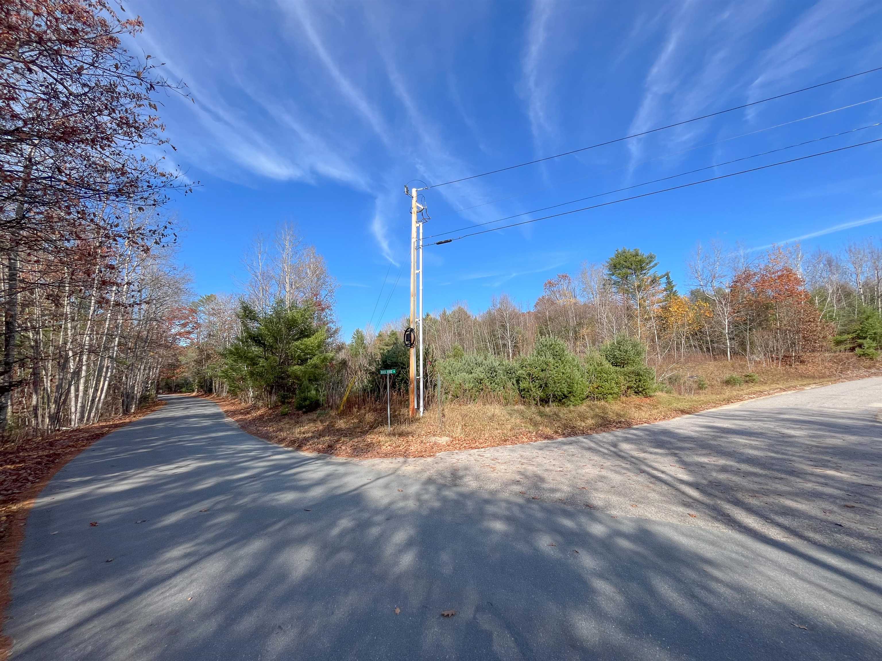 0 Buck Ridge Road Lisbon, NH 03585 - Photo 10 of 46