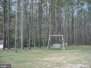 9206 Croppers Island Road Newark, MD 21841 - Photo 2 of 8