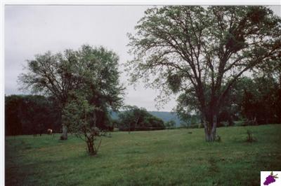 30685 Burrough Valley Road Tollhouse, CA 93667 - Photo 1 of 5 Gallery Image 1