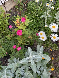 110 Bennett Road New Gloucester, ME 04260 - Photo 6 of 31 Flowers 2