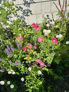 110 Bennett Road New Gloucester, ME 04260 - Photo 8 of 31 Flowers