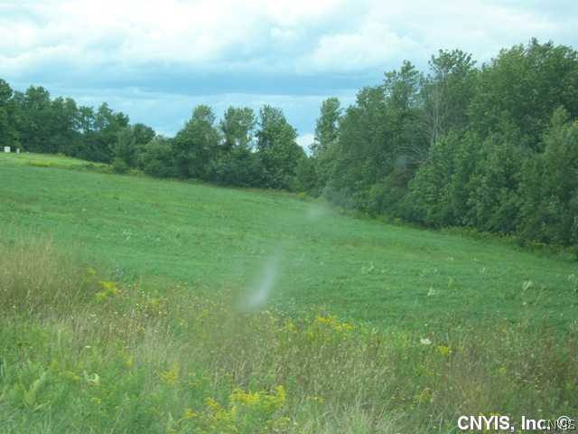 Lot #4 Bussey Road Phoenix, NY 13135 - Photo 4 of 4