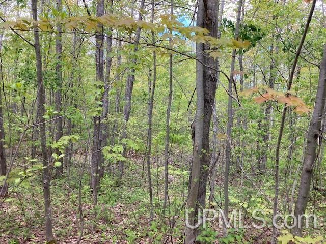 2 Boundary Road Chassell, MI 49916 - Photo 42 of 77